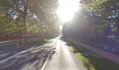 Végé'tri de Saint-cyr-en-val