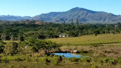 La Foa