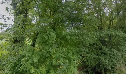 Déchèterie de Parisot