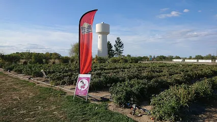 Déchèterie d' Aulnay-sur-marne