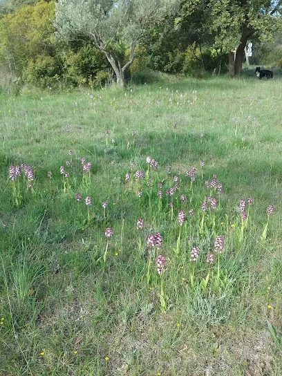 Déchèterie d'Uchaud
