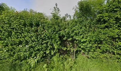 Déchèterie Viriville