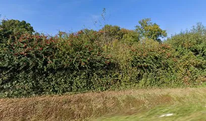 Déchèterie de Tremblay