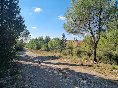 Déchèterie de Saint-vincent-de-barbeyrargues