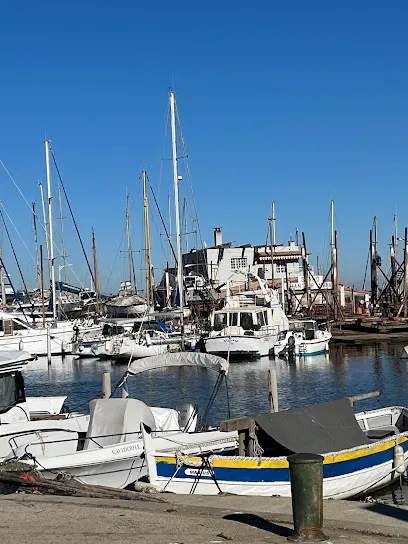 Point Propre du Port de Pêche